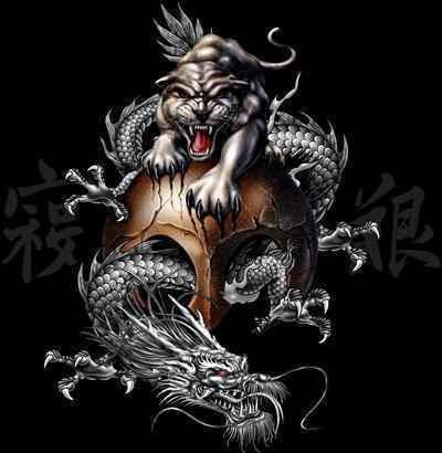 dragon vs tigre